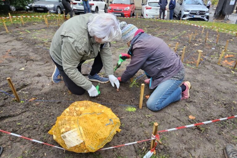 Tavasszal kihajt Budavár új logója a Bécsi kapu téren