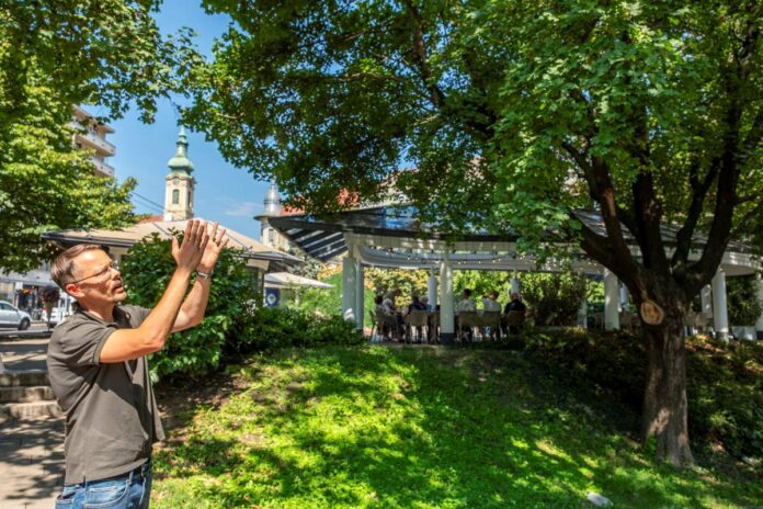 Zakar András kerületi főkertész a Horváth-kertben. Fotó: Tóth Tibor